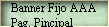 Banner Fijo AAA 
 Pag. Pincipal