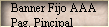 Banner Fijo AAA 
 Pag. Pincipal