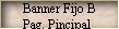 Banner Fijo B 
 Pag. Pincipal