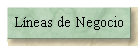 L�neas de Negocio