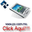 �PDA?