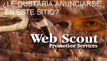 Lo_Mejor_en_Servicios_de_Promocion_en_Internet